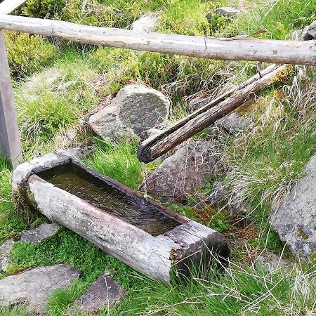 Apart Waldesruh Arzl im Pitztal Εξωτερικό φωτογραφία