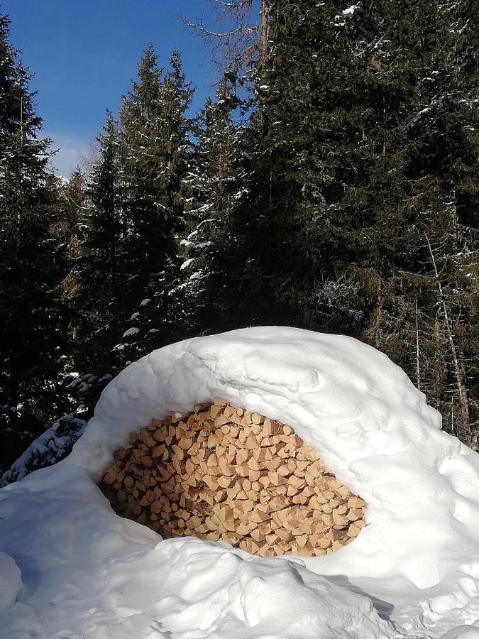 Apart Waldesruh Arzl im Pitztal Εξωτερικό φωτογραφία