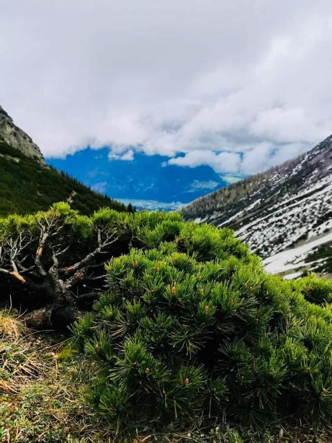 Apart Waldesruh Arzl im Pitztal Εξωτερικό φωτογραφία