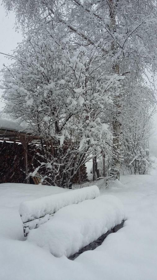 Apart Waldesruh Arzl im Pitztal Εξωτερικό φωτογραφία