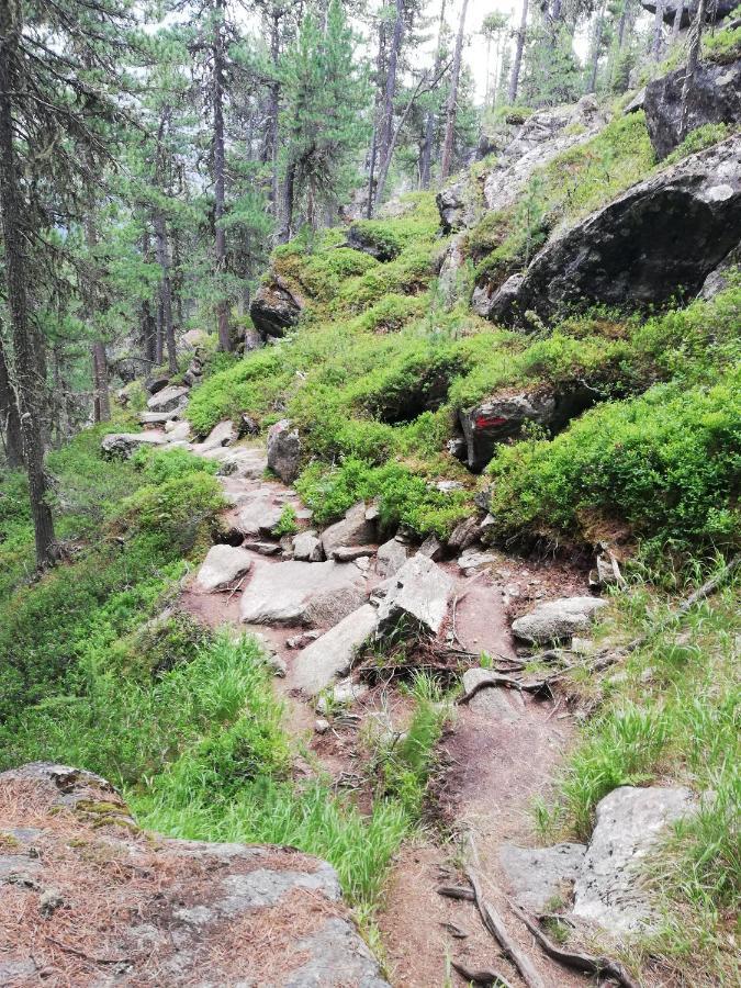 Apart Waldesruh Arzl im Pitztal Εξωτερικό φωτογραφία