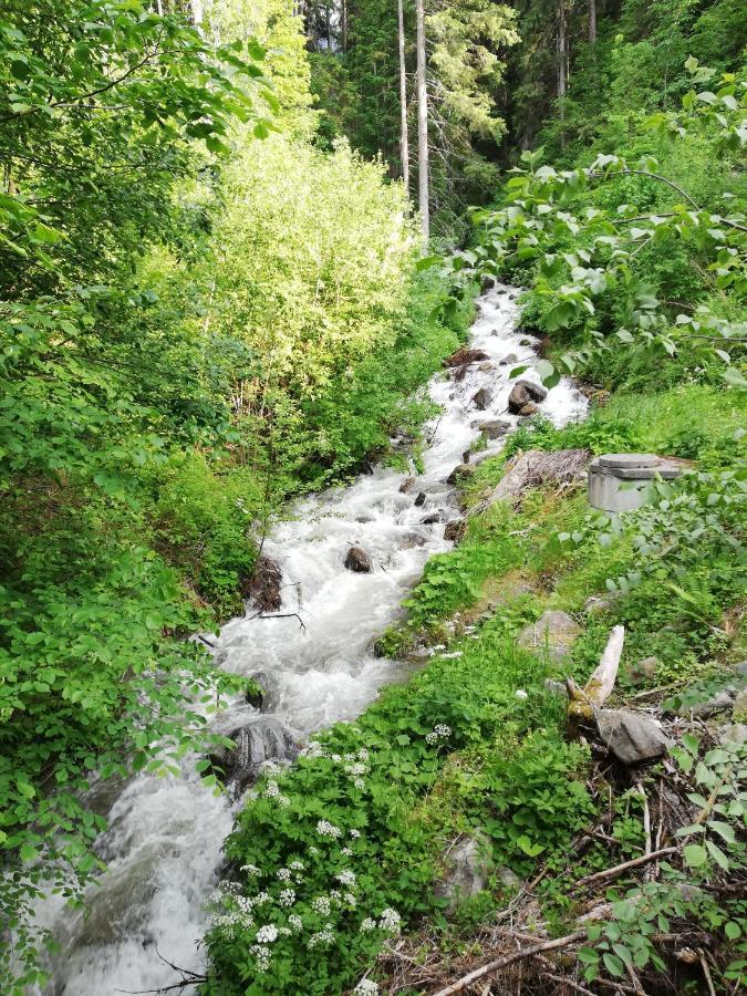 Apart Waldesruh Arzl im Pitztal Εξωτερικό φωτογραφία