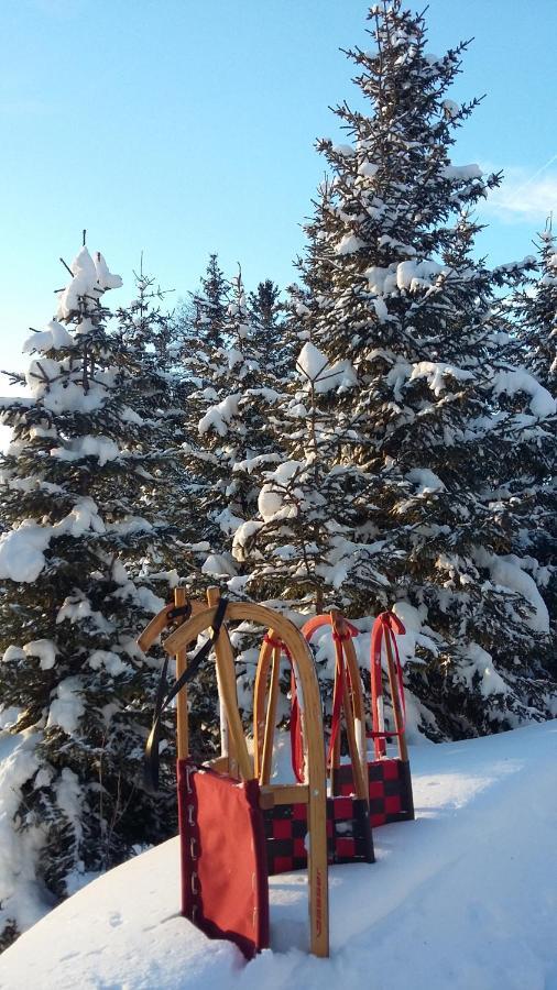 Apart Waldesruh Arzl im Pitztal Εξωτερικό φωτογραφία